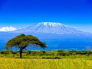 East Africa office